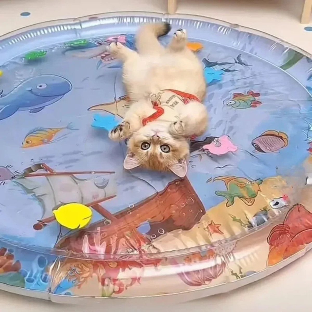 Tapete Sensorial Refrescante Aquático - Tapete Refrescante para Gato - Vessa