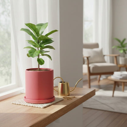 Vaso em Cerâmica Elegante com Pires - Vaso de Flores - Vessa