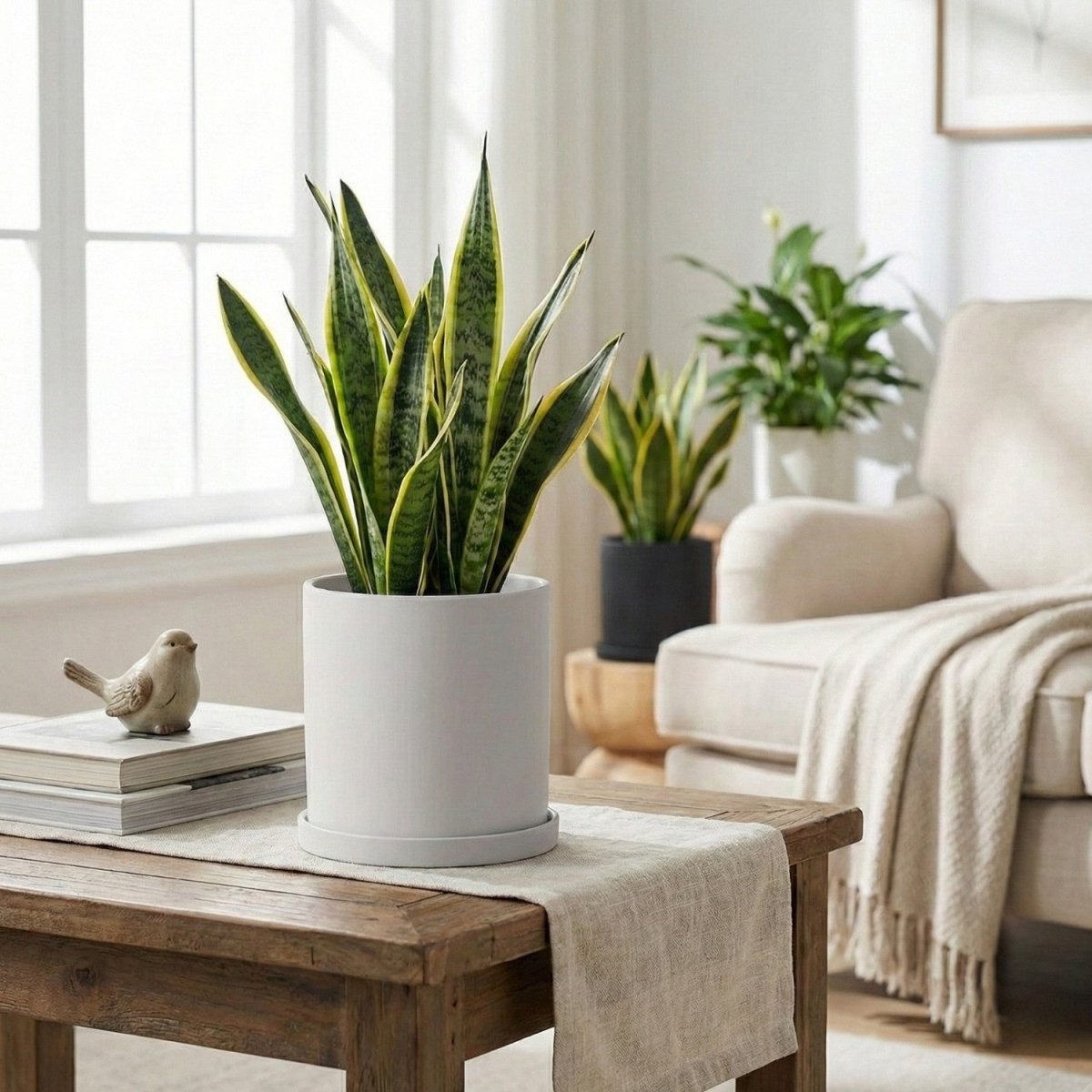 Vaso em Cerâmica Elegante com Pires - Vaso de Flores - Vessa