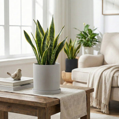 Vaso em Cerâmica Elegante com Pires - Vaso de Flores - Vessa