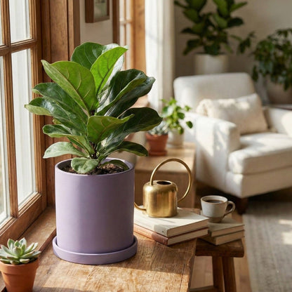 Vaso em Cerâmica Elegante com Pires - Vaso de Flores - Vessa