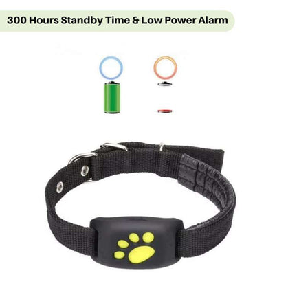 Rastreador GPS FindMyDog – Rastreamento em Tempo Real com Alertas de Zona Segura e Bateria de 300 Horas - Rastreador GPS de Cão - Vessa