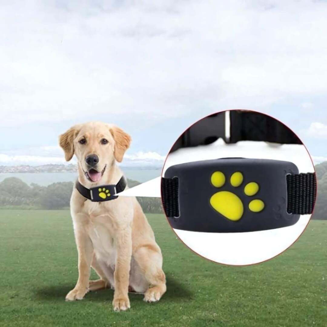 Rastreador GPS FindMyDog – Rastreamento em Tempo Real com Alertas de Zona Segura e Bateria de 300 Horas - Rastreador GPS de Cão - Vessa