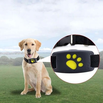 Rastreador GPS FindMyDog – Rastreamento em Tempo Real com Alertas de Zona Segura e Bateria de 300 Horas - Rastreador GPS de Cão - Vessa