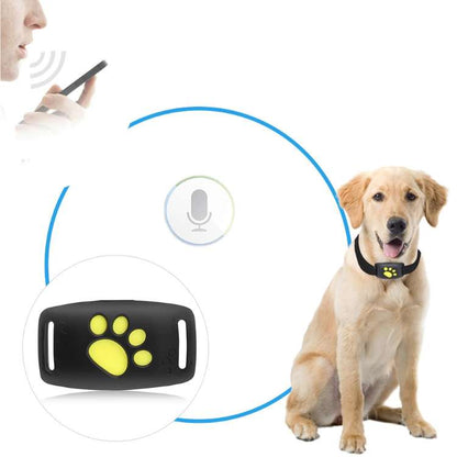 Rastreador GPS FindMyDog – Rastreamento em Tempo Real com Alertas de Zona Segura e Bateria de 300 Horas - Rastreador GPS de Cão - Vessa