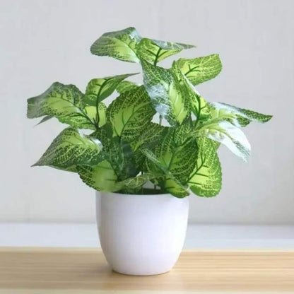 Vaso Bonsai Decorativo ForeverFresh - Planta Artificial - Vessa