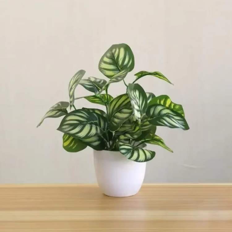 Vaso Bonsai Decorativo ForeverFresh - Planta Artificial - Vessa