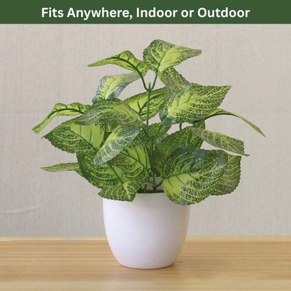 Vaso Bonsai Decorativo ForeverFresh - Planta Artificial - Vessa