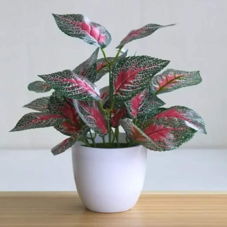 Vaso Bonsai Decorativo ForeverFresh - Planta Artificial - Vessa