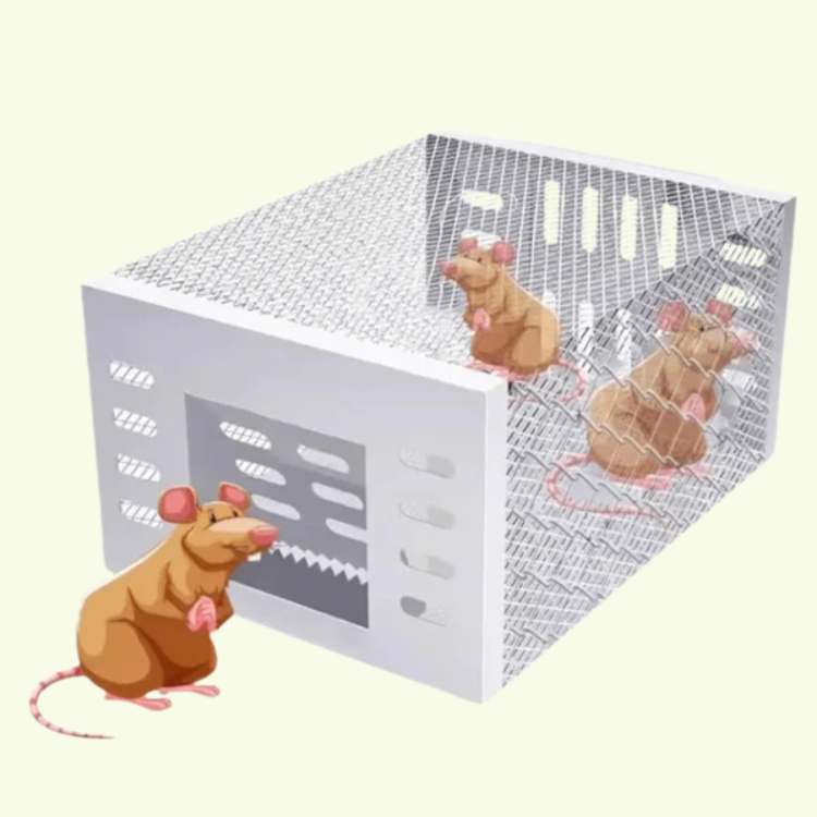 Ratoeira em Aço Inoxidável NoEscape - Ratoeira - Vessa