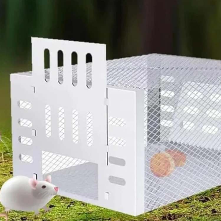 Ratoeira em Aço Inoxidável NoEscape - Ratoeira - Vessa