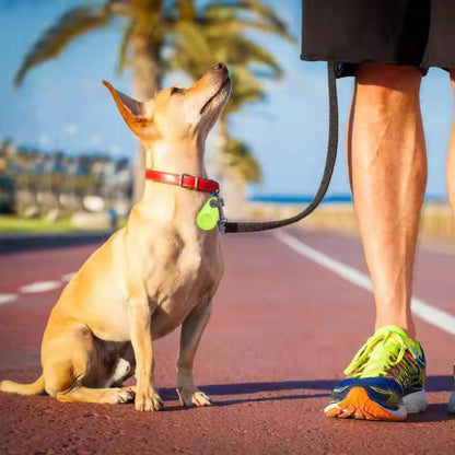 Rastreador Bluetooth de Localização de Animais PawPin - Rastreador GPS para Cães - Vessa