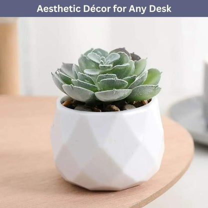 Decoração Mini Bonsai PureLeaf - Planta Artificial - Vessa
