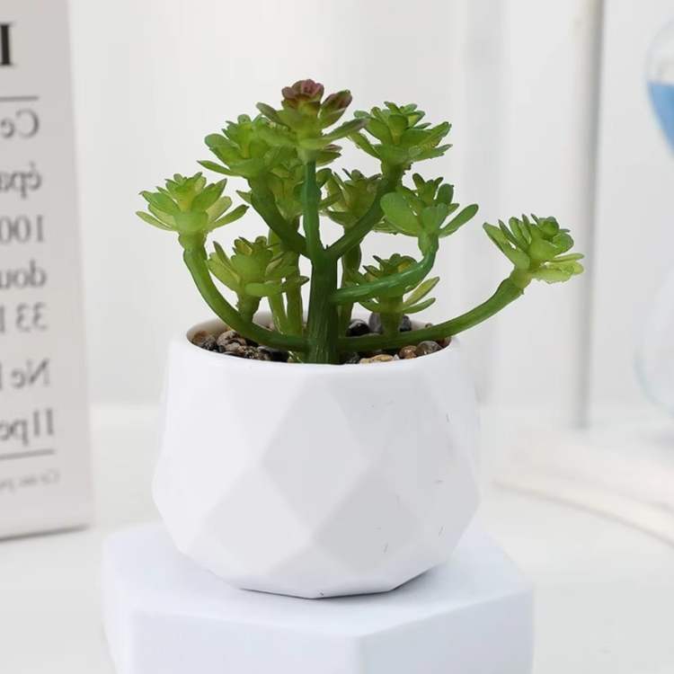 Decoração Mini Bonsai PureLeaf - Planta Artificial - Vessa