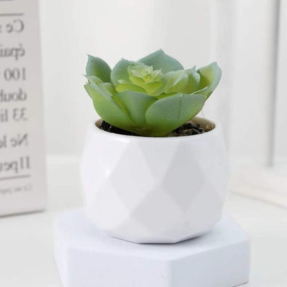 Decoração Mini Bonsai PureLeaf - Planta Artificial - Vessa