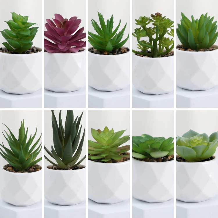 Decoração Mini Bonsai PureLeaf - Planta Artificial - Vessa