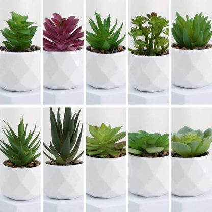 Decoração Mini Bonsai PureLeaf - Planta Artificial - Vessa