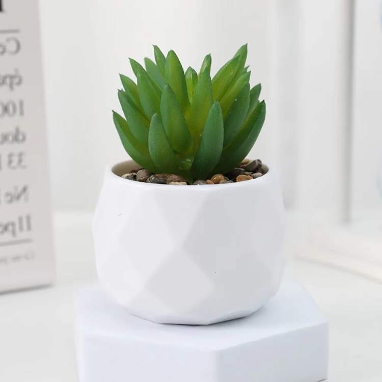 Decoração Mini Bonsai PureLeaf - Planta Artificial - Vessa