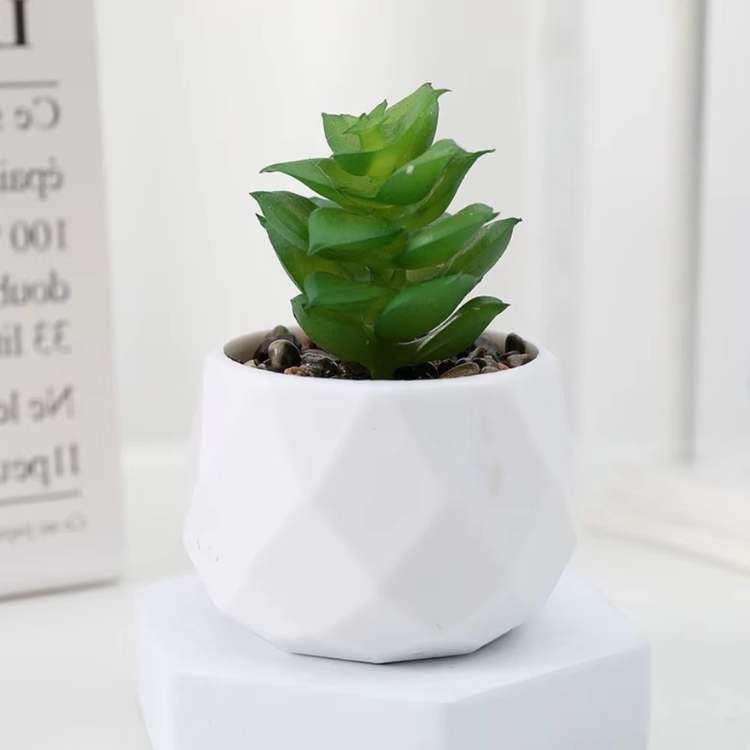 Decoração Mini Bonsai PureLeaf - Planta Artificial - Vessa