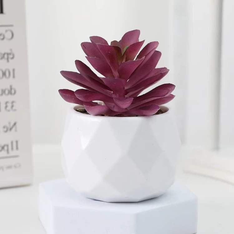 Decoração Mini Bonsai PureLeaf - Planta Artificial - Vessa