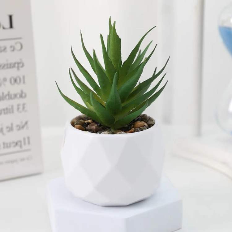 Decoração Mini Bonsai PureLeaf - Planta Artificial - Vessa
