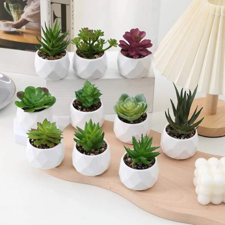 Decoração Mini Bonsai PureLeaf - Planta Artificial - Vessa
