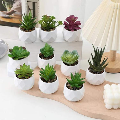 Decoração Mini Bonsai PureLeaf - Planta Artificial - Vessa