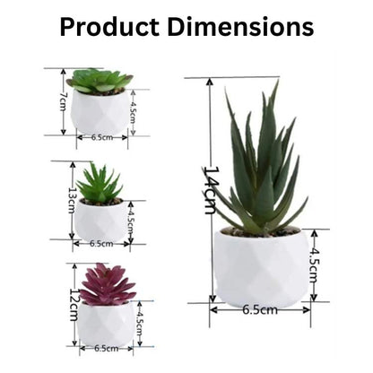 Decoração Mini Bonsai PureLeaf - Planta Artificial - Vessa