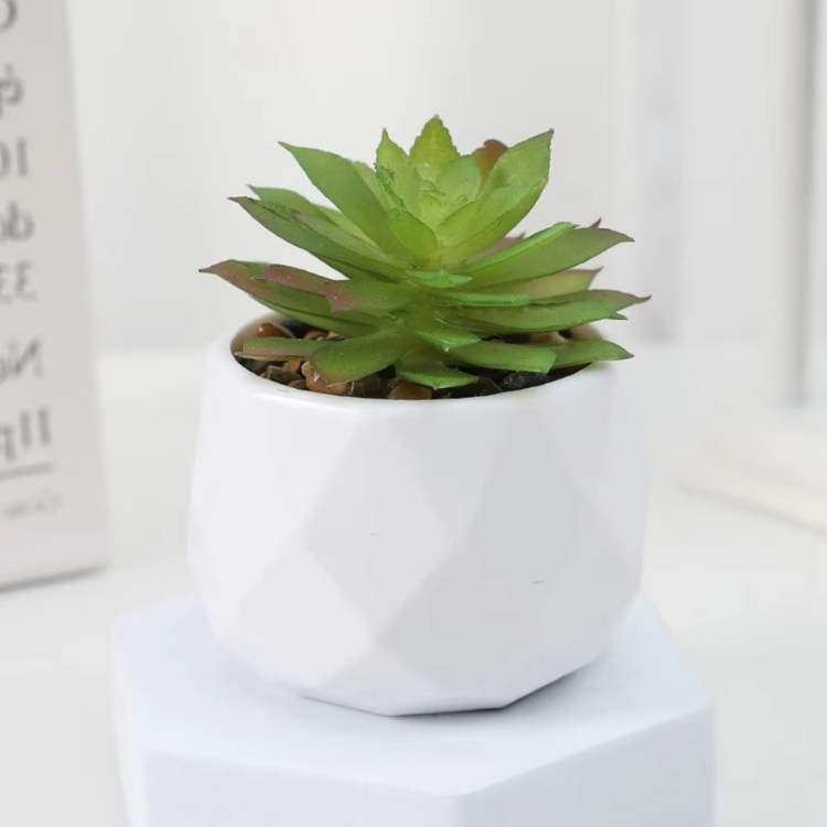 Decoração Mini Bonsai PureLeaf - Planta Artificial - Vessa