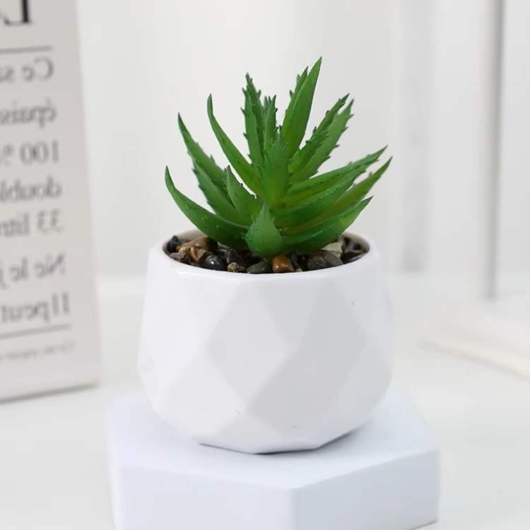 Decoração Mini Bonsai PureLeaf - Planta Artificial - Vessa
