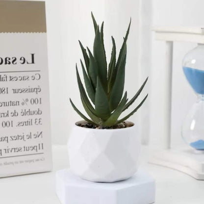 Decoração Mini Bonsai PureLeaf - Planta Artificial - Vessa