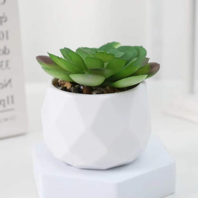 Decoração Mini Bonsai PureLeaf - Planta Artificial - Vessa