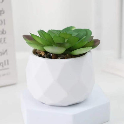 Decoração Mini Bonsai PureLeaf - Planta Artificial - Vessa