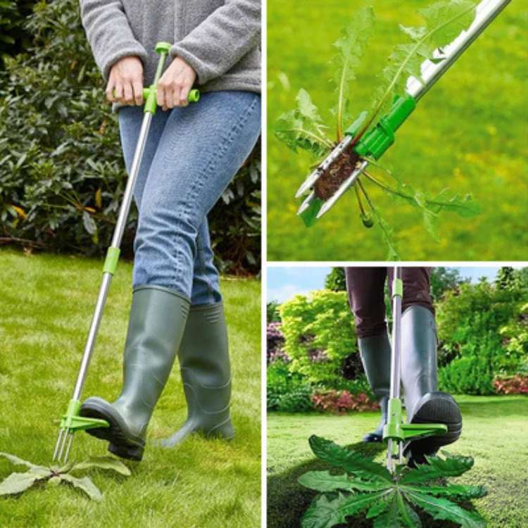 Arranca-Ervas Daninhas de Jardim RootRipper - Arranca-Ervas Daninhas - Vessa