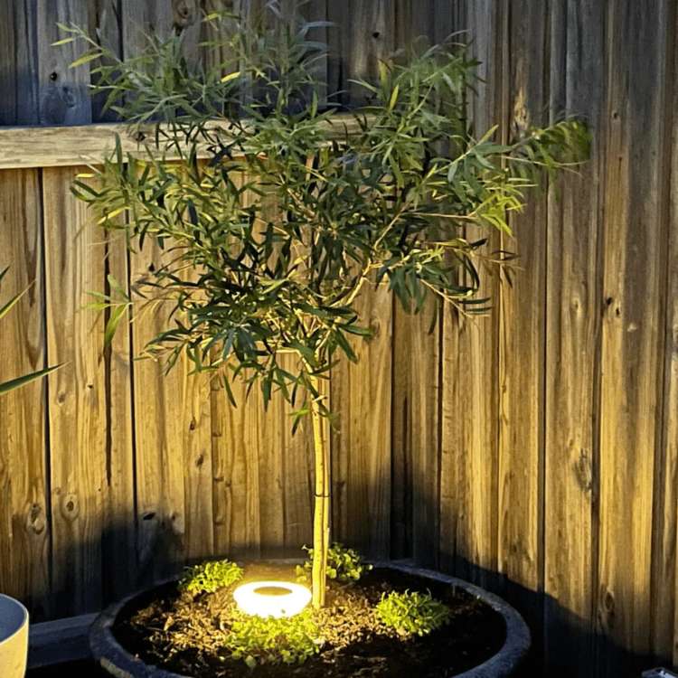 Luzes de Jardim SunBeam – À Prova de Ferrugem, Alimentadas a Energia Solar - Luzes de Jardim - Vessa